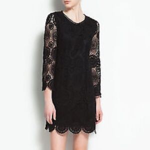ZARA Timeless LBD Black crochet Lace Round Neck long sleeve Knee Length dress